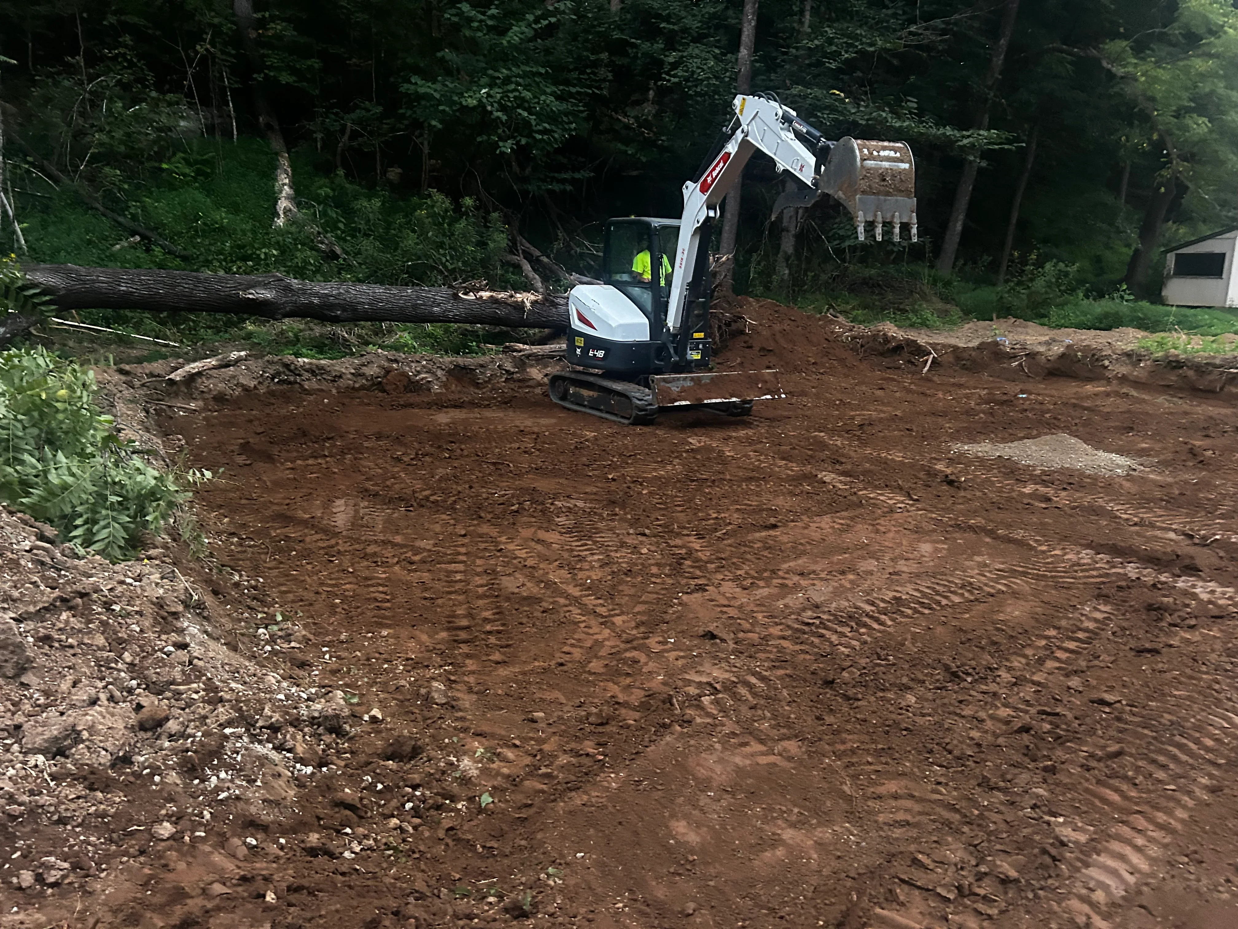 Mini excavator grading brown soil on residential lot with felled logs and forest backdrop