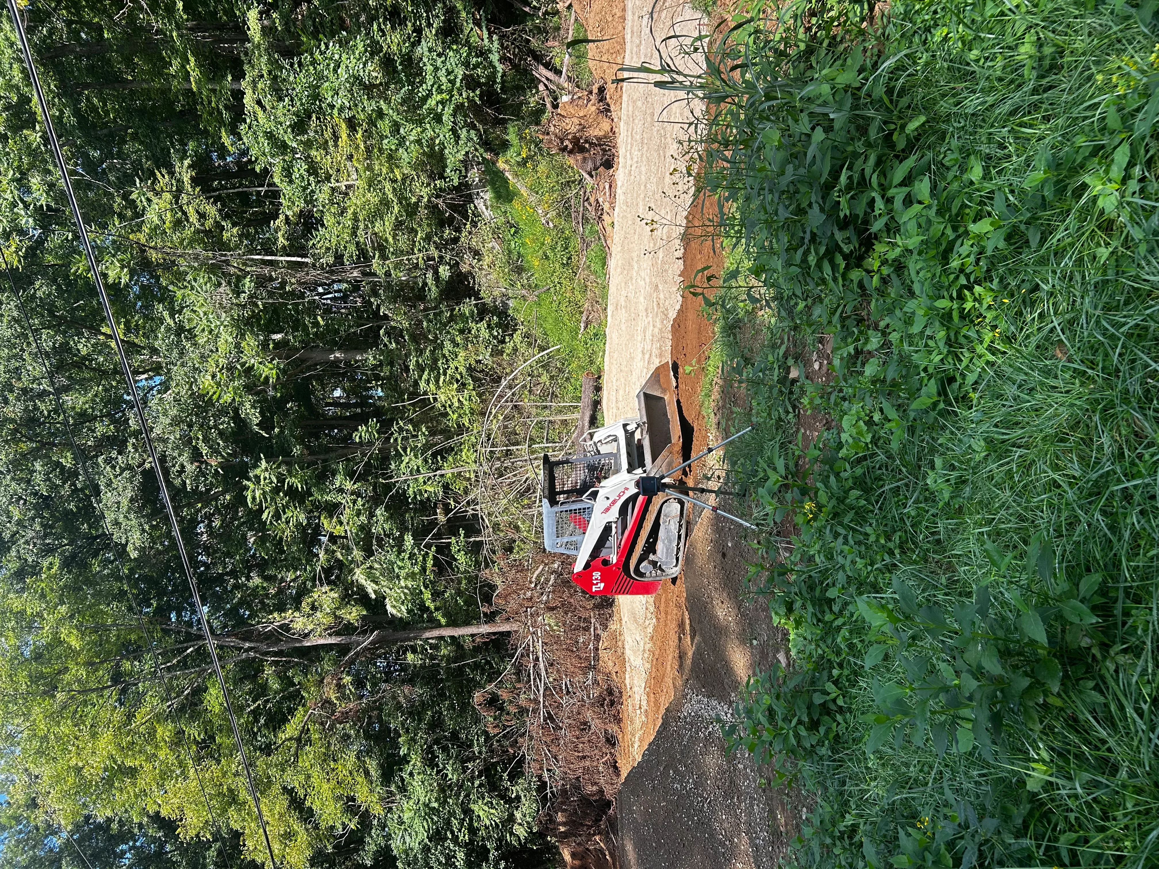 Cleared driveway with service vehicle accessing septic system through overgrown vegetation